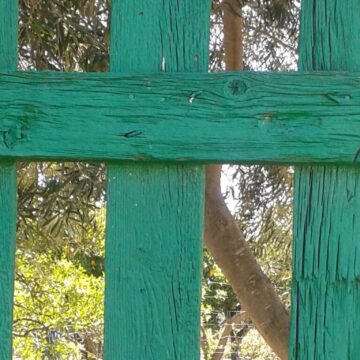 Valla de madera verde entre árboles en un entorno natural