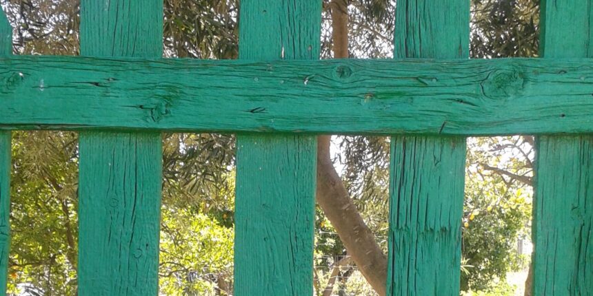 va3468-notas-de-un-diario-marco-antonio-torres-mazon.jpg Valla de madera verde entre árboles en un entorno natural