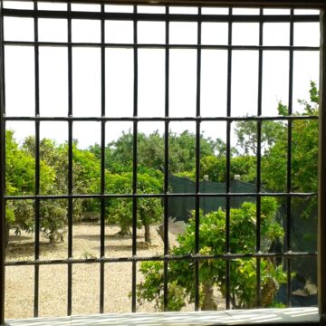 Ventana abierta al campo en una finca rural durante la primavera