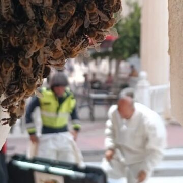 va3474-bomberos-torrevieja-reubicacion-colmena-la-mata.jpg Enjambre de abejas adherido a una balaustrada antes de ser retirado por los bomberos en La Mata