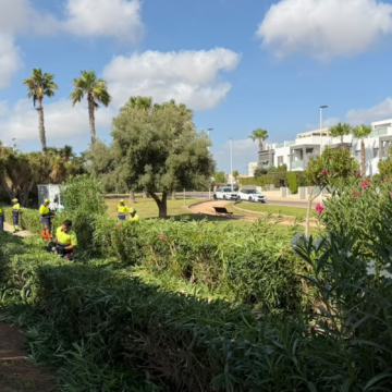 Operarios del servicio de Parques y Jardines trabajan en una zona verde de Torrevieja