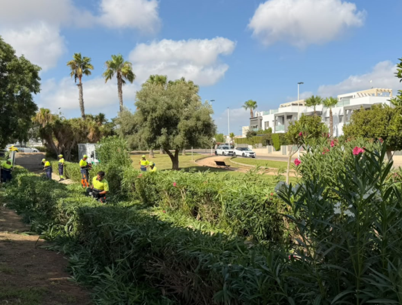 VA3476-parques-jardines-torrevieja-verano.jpg Operarios del servicio de Parques y Jardines trabajan en una zona verde de Torrevieja