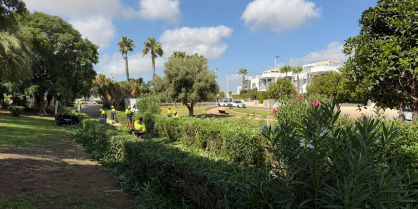 VA3476-parques-jardines-torrevieja-verano.jpg Operarios del servicio de Parques y Jardines trabajan en una zona verde de Torrevieja