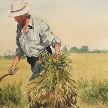 Exposición de acuarelas de José Miguel Masiá en Torrevieja