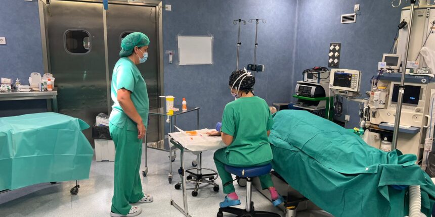 VA-3481-tunel-carpiano-tecnica-walant-torrevieja.jpg Profesionales del Hospital de Torrevieja durante una intervención de túnel carpiano con técnica WALANT.