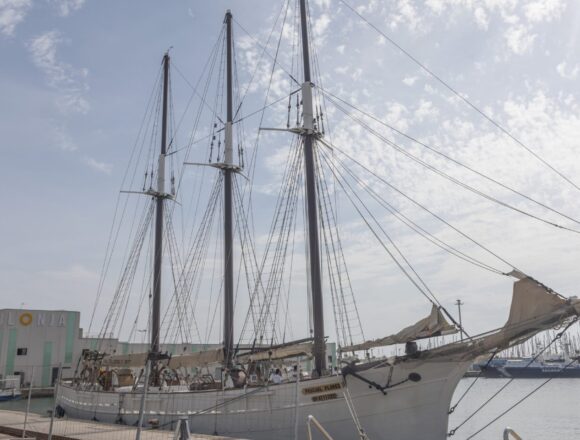 va-3484-pascual-flores-torrevieja.jpg El pailebote Pascual Flores regresa al puerto de Torrevieja tras su gira por Europa.